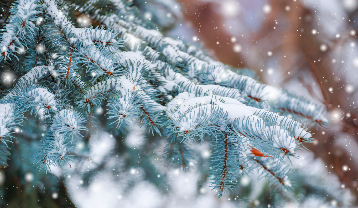 Ikona pre článok nový článok